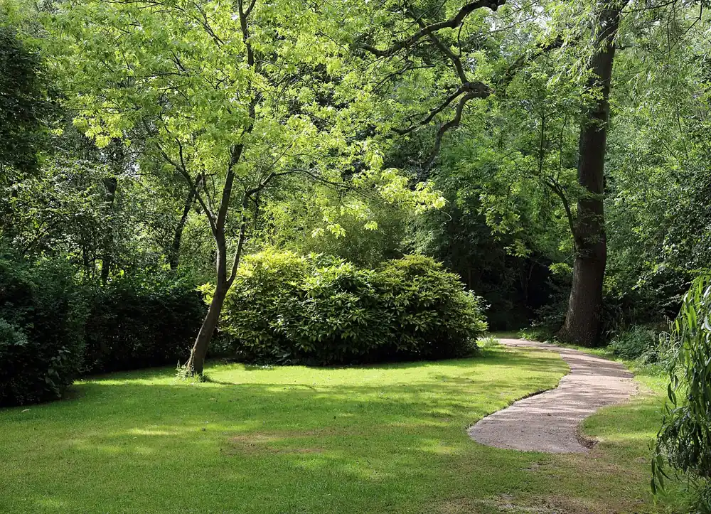 Curving path through a shaded lawn at the Gibberd Garden in Essex
